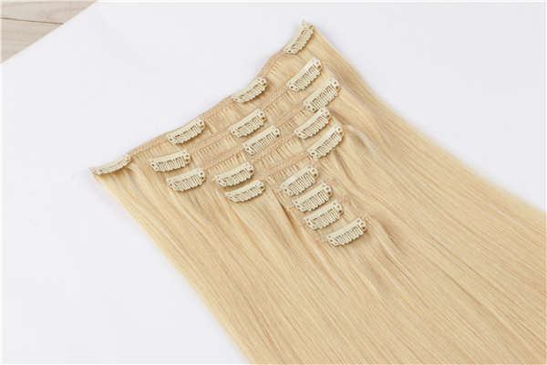 Hair Extensions Clip In Real Human Hair Extensions  Silky Straight Weft Remy Human YL340